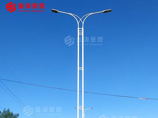 新款双臂路灯单臂路灯-简约现代路灯【世博光电】