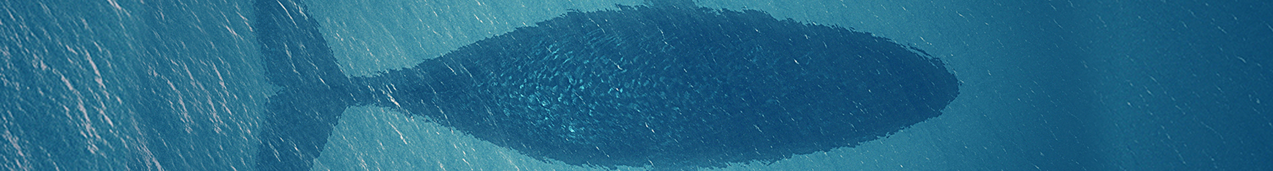 dogedogedoor的個(gè)人主頁（封面預(yù)覽） - 主頁封面設(shè)置 - 站酷設(shè)計(jì)師dogedogedoor原創(chuàng)素材 - 站酷ZCOOL