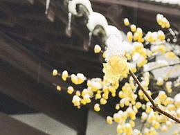 18年杭州初雪