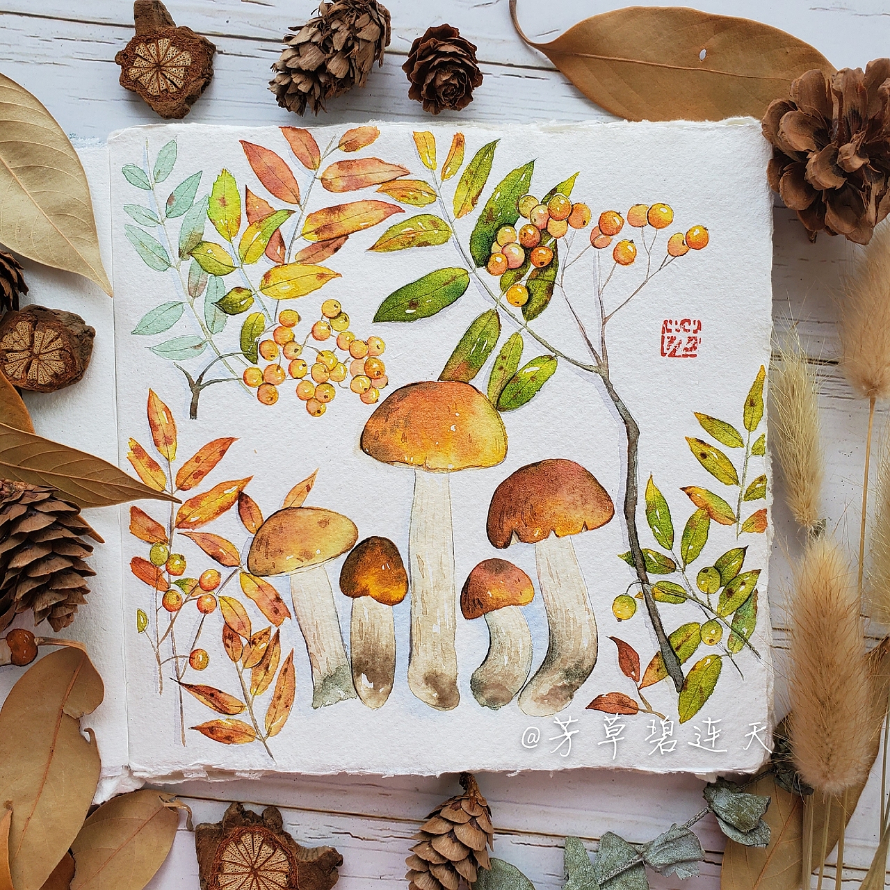 水彩風(fēng)景秋日果實(shí)蘑菇樹葉手繪視頻過程 芳草碧連天（圖ZMjAwNjg5MzMy） - 繪畫 - 站酷設(shè)計(jì)師芳草碧連天水彩原創(chuàng)素材 - 站酷ZCOOL