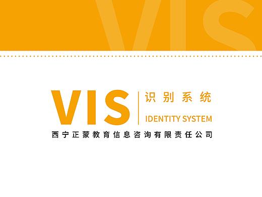 VIS系统