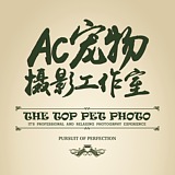 AC宠物摄影的头像