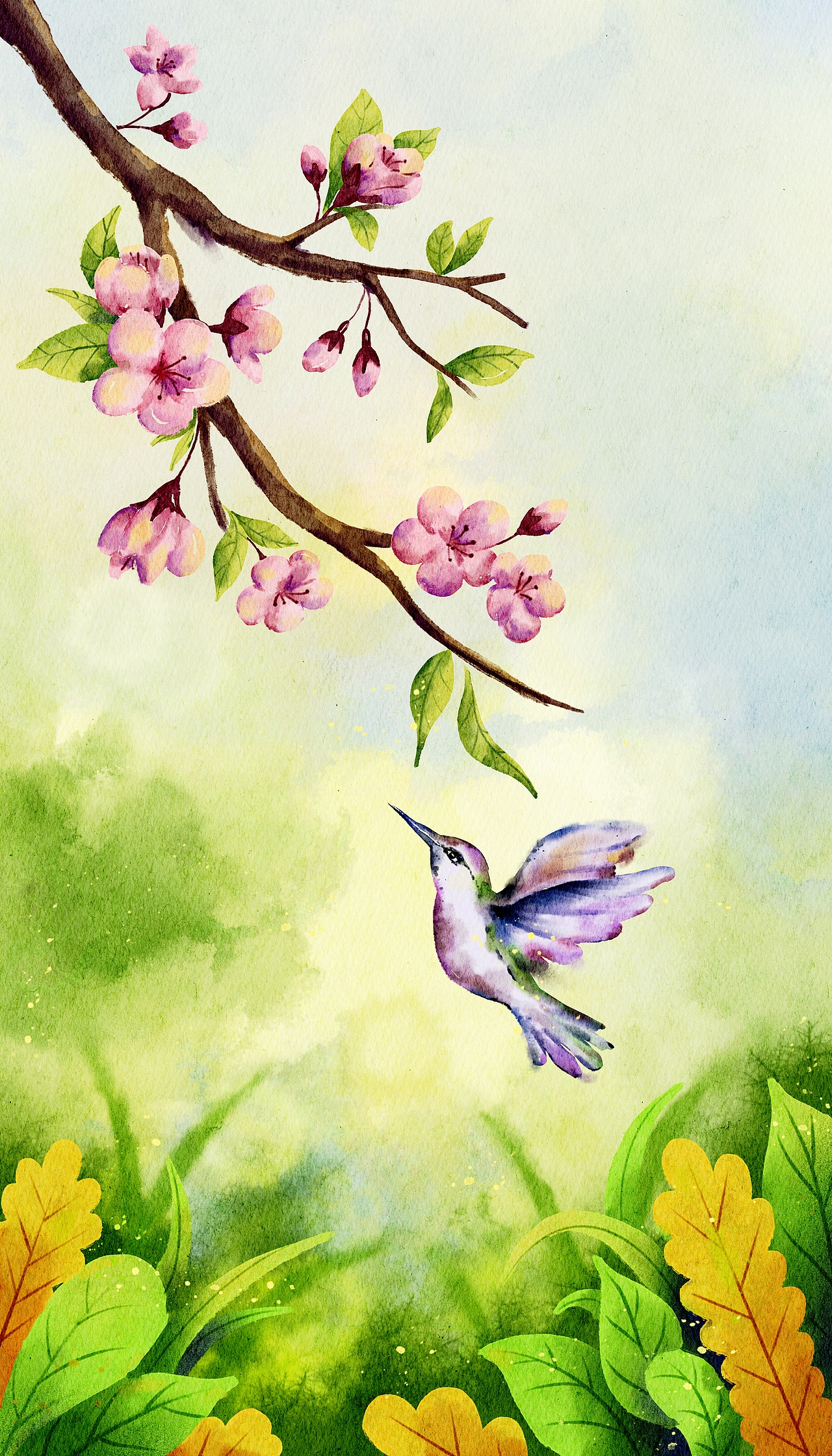 鸟语花香|插画|商业插画|粘锅_原创作品-站酷zcool