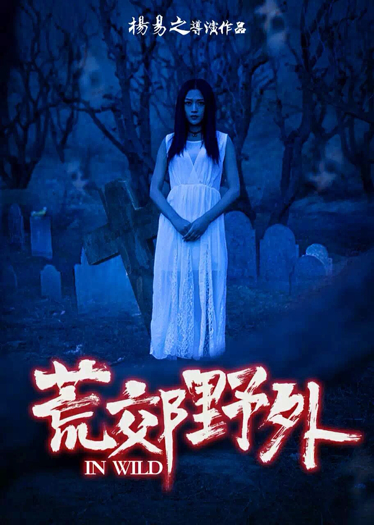 荒郊野外 电影海报demo（图ZNDg4NjI2NDA=） - 海报 - 站酷设计师Frenziedmagic原创素材 - 站酷ZCOOL