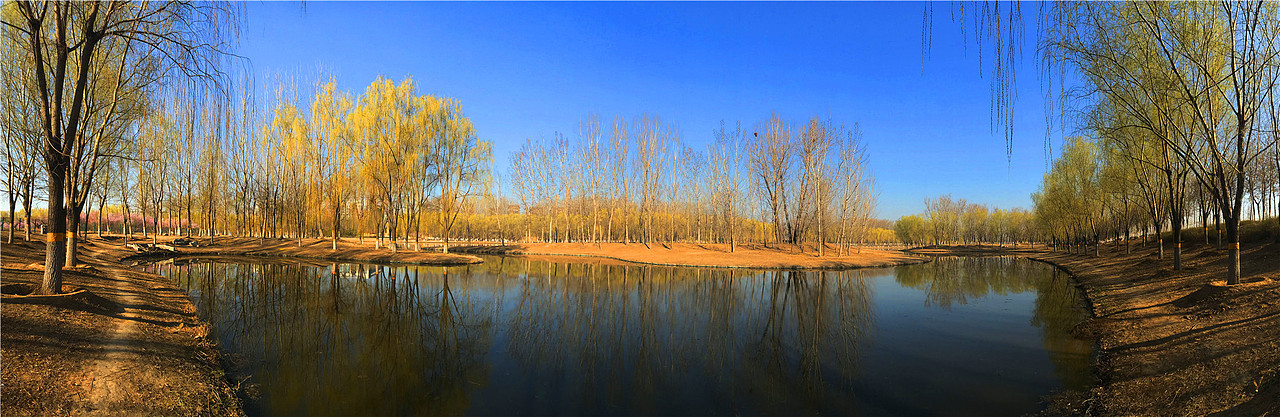 刘勇良手机纪实摄影:杨柳依依