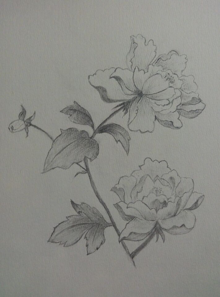 没有画画基础,所以画了很久,希望各路大神指点成都/平面设计师/8年前