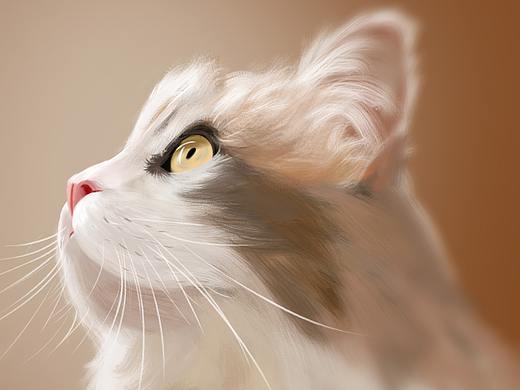 小動(dòng)物（個(gè)人主頁-ZNTMzNzkxMDA=） - 創(chuàng)作習(xí)作 - 站酷設(shè)計(jì)師沖啊牛吧原創(chuàng)素材 - 站酷ZCOOL