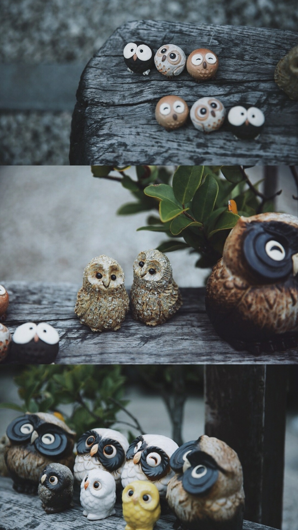 刘浪摄影作品《路灯之影》