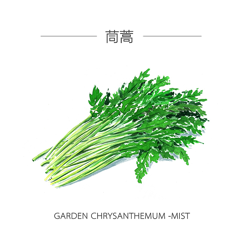 人类食谱-蔬菜（图ZMzY4MDg5NzY=） - 商业插画 - 站酷设计师反派放映原创素材 - 站酷ZCOOL