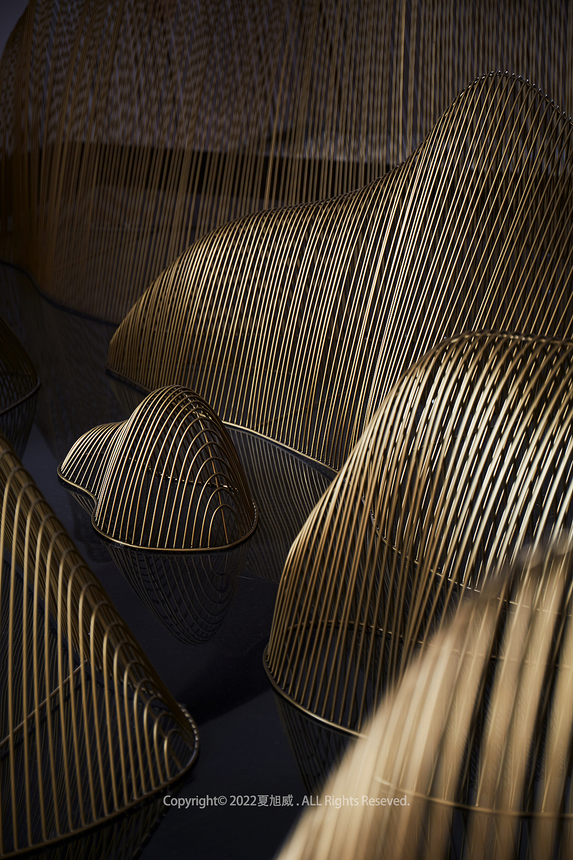 空间摄影 | 梧桐新天（图ZMjg0OTA3Njcy） - 环境/建筑摄影 - 站酷设计师夏旭威原创素材 - 站酷ZCOOL