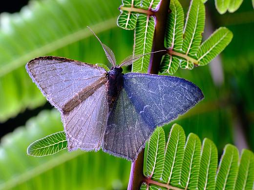 瓜哥微距活动-南昆山之行