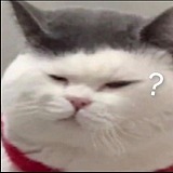 a伟早点睡的头像