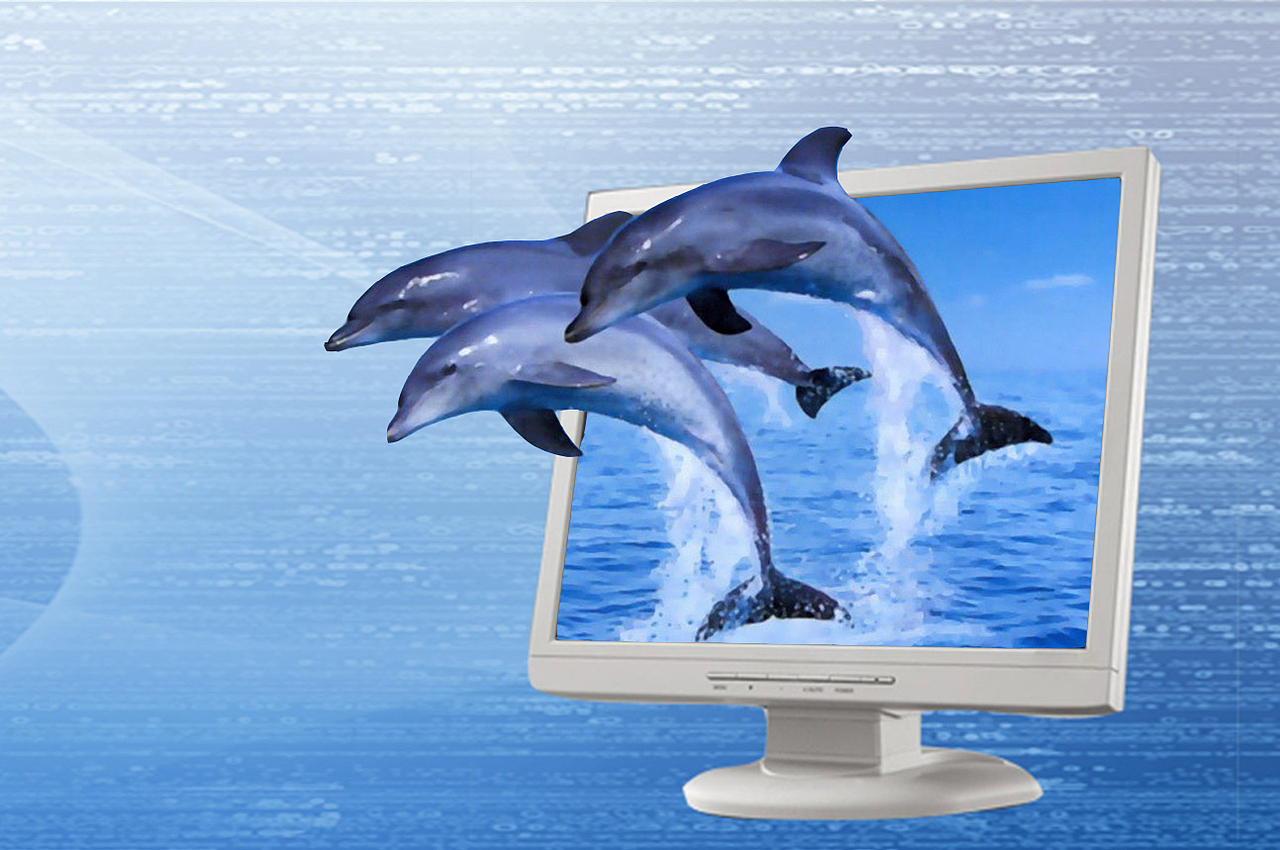 大一刚接触AI和PS时候的作业