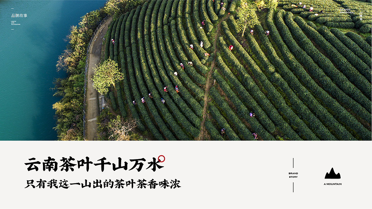 一山 · 元茶 YEARNTEA