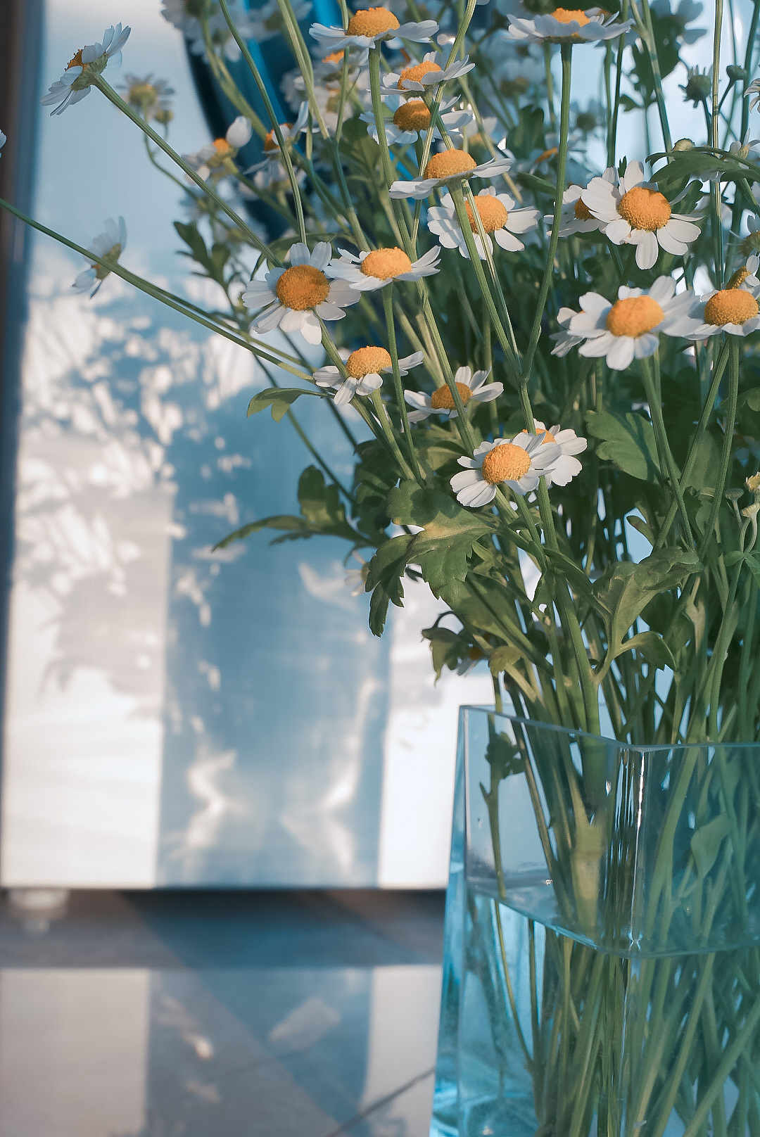 春天（图ZMjAwOTkyMDQ0） - 风光摄影 - 站酷设计师丶荧光乌贼原创素材 - 站酷ZCOOL