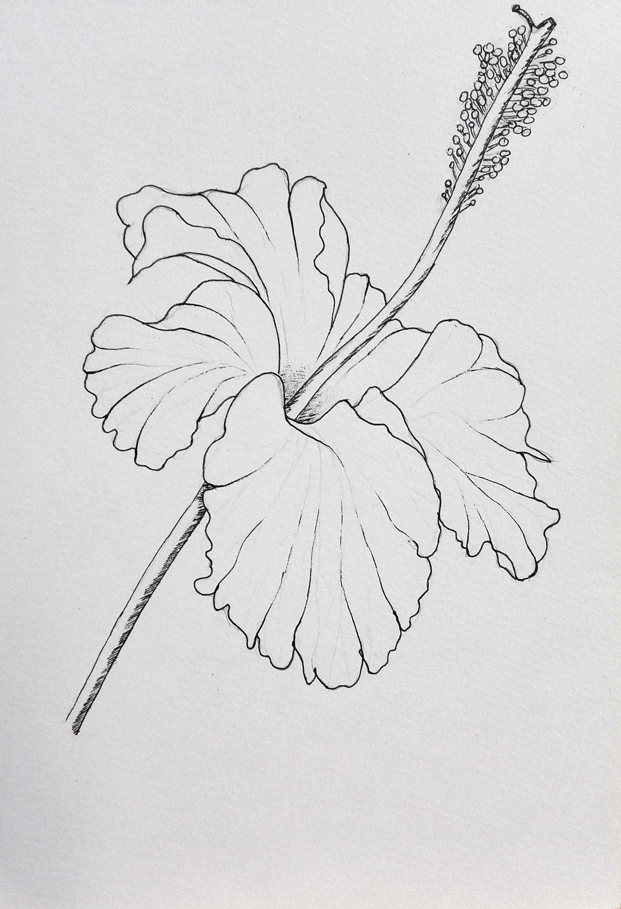 手绘线条练习|插画|创作习作|一尾吐泡泡的鱼 - 原创作品 - 站酷