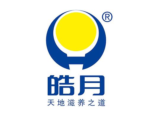 皓月品牌全案服务