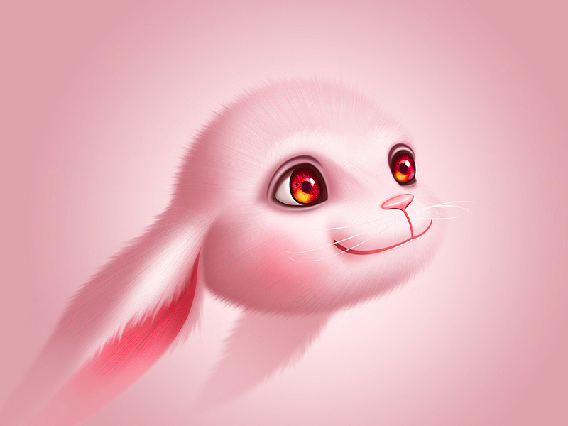 rabbit|平面|图案|hhung - 原创作品 - 站酷 (zcool)