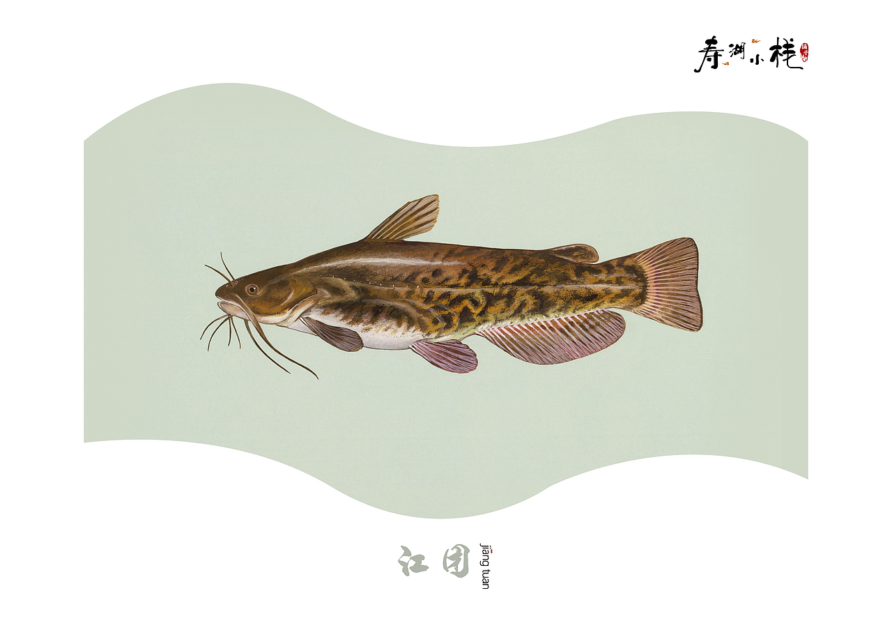 《鱼》（图ZMTYwNDE4ODU2） - 书籍/画册 - 站酷设计师ANEAL原创素材 - 站酷ZCOOL