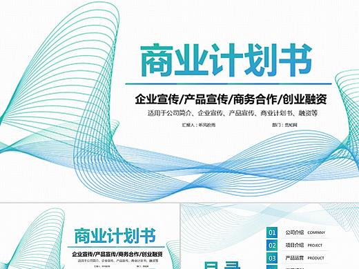 唯美线条商业计划书PPT
