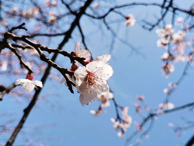 阳光明媚（图ZMjAwMTY4ODEy） - 风光摄影 - 站酷设计师chinglala原创素材 - 站酷ZCOOL