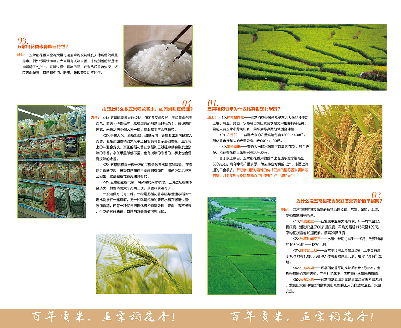 【五常大米】产品手册设计（图ZMjY5MjIxNzI=） - 书籍/画册 - 站酷设计师防晒锅原创素材 - 站酷ZCOOL