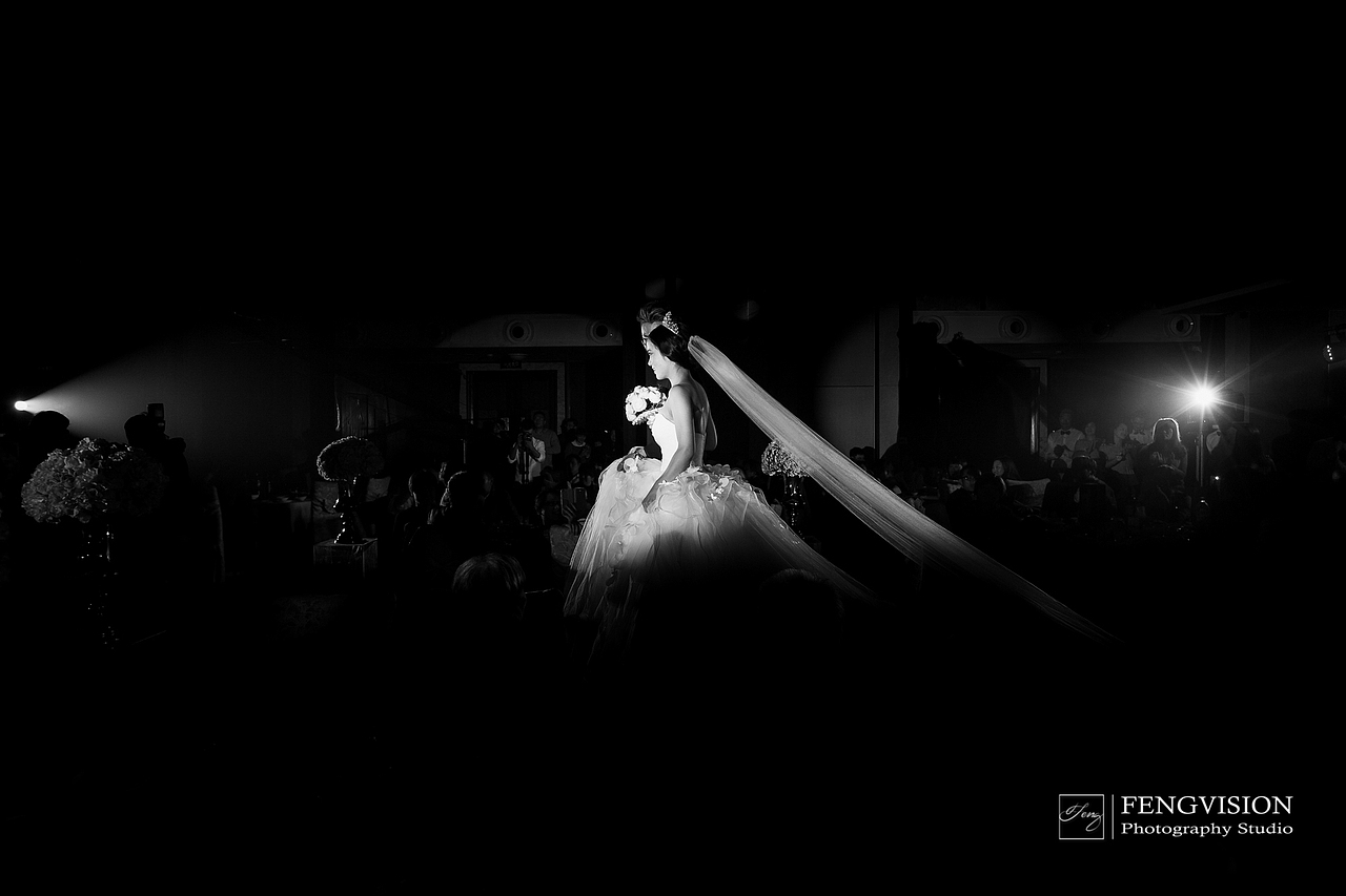 2016年fengvision合集