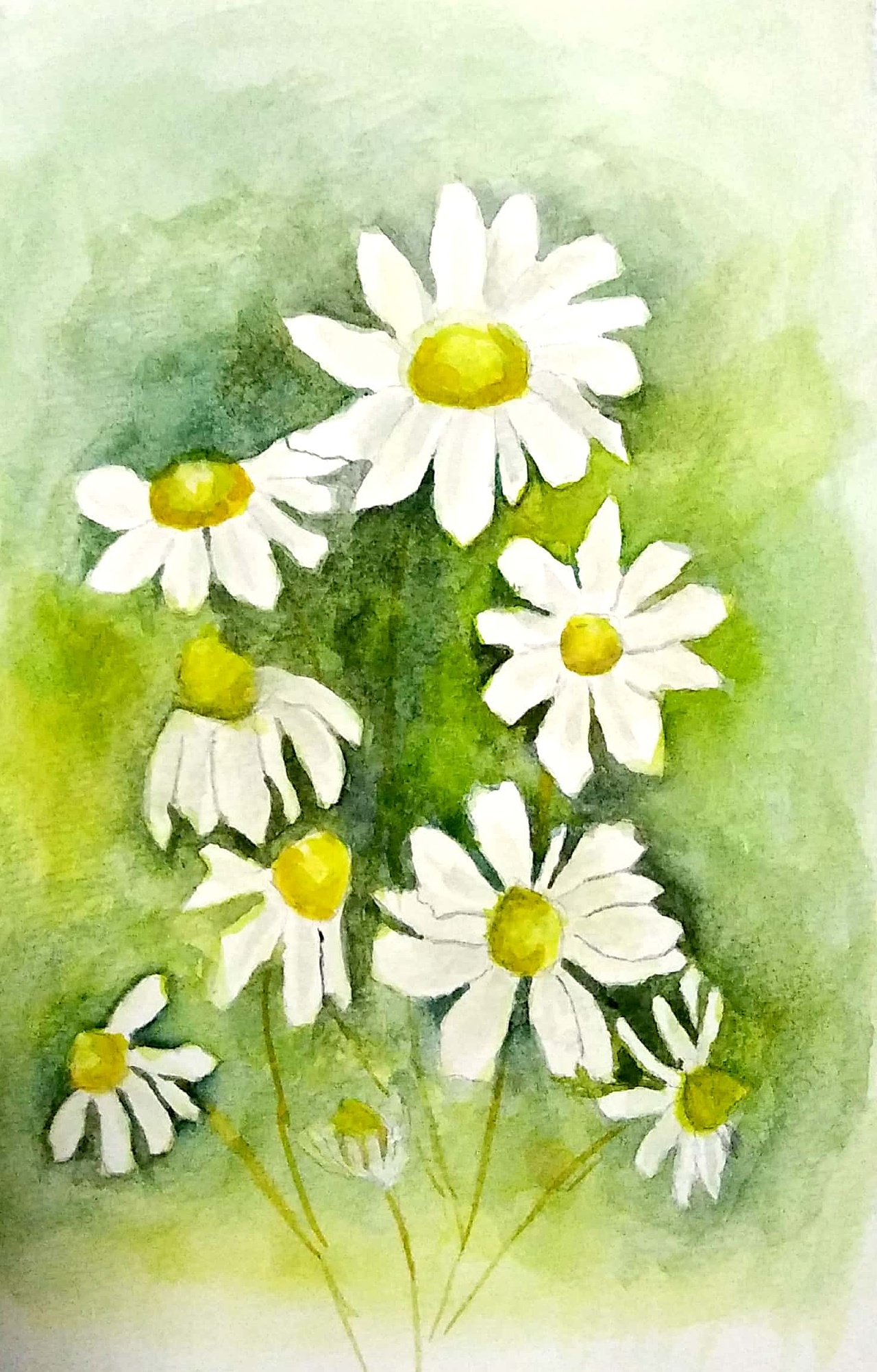 水彩临摹成长史|纯艺术|绘画|yunyunla_临摹作品-站酷zcool