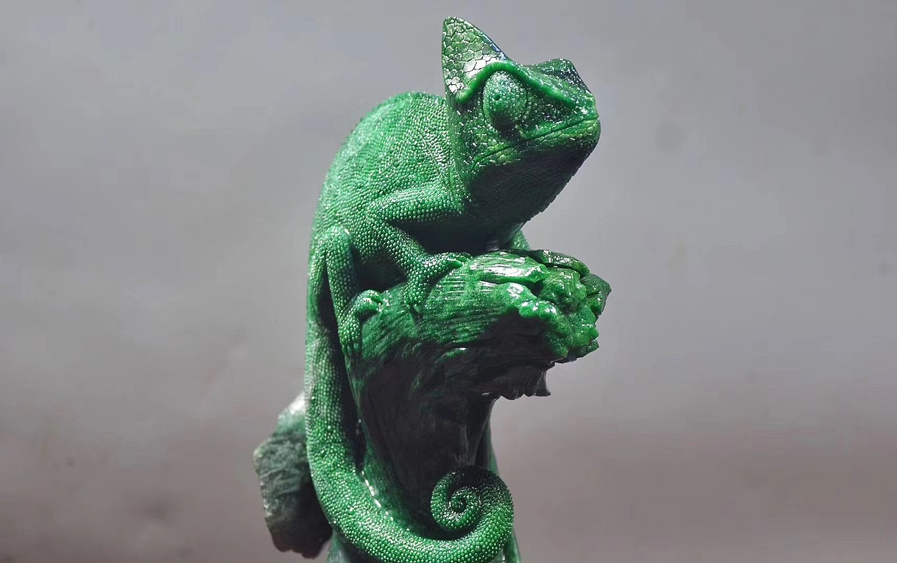 广绿玉高冠变色龙随手拍