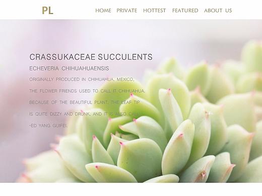多肉网站