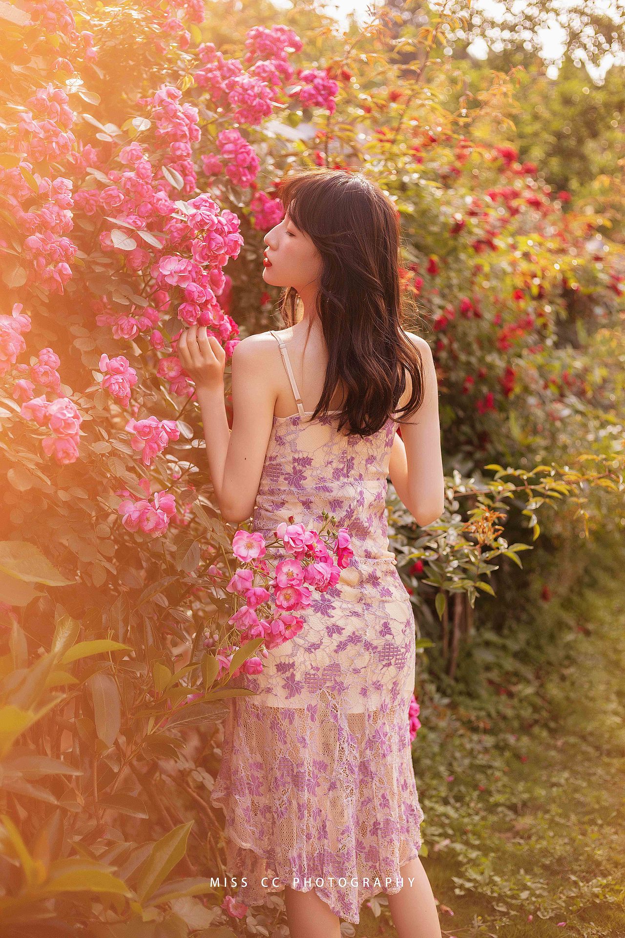 我是你独一无二的玫瑰（图ZMjUzNTA3Mjc2） - 人像摄影 - 站酷设计师CC小姐呀原创素材 - 站酷ZCOOL