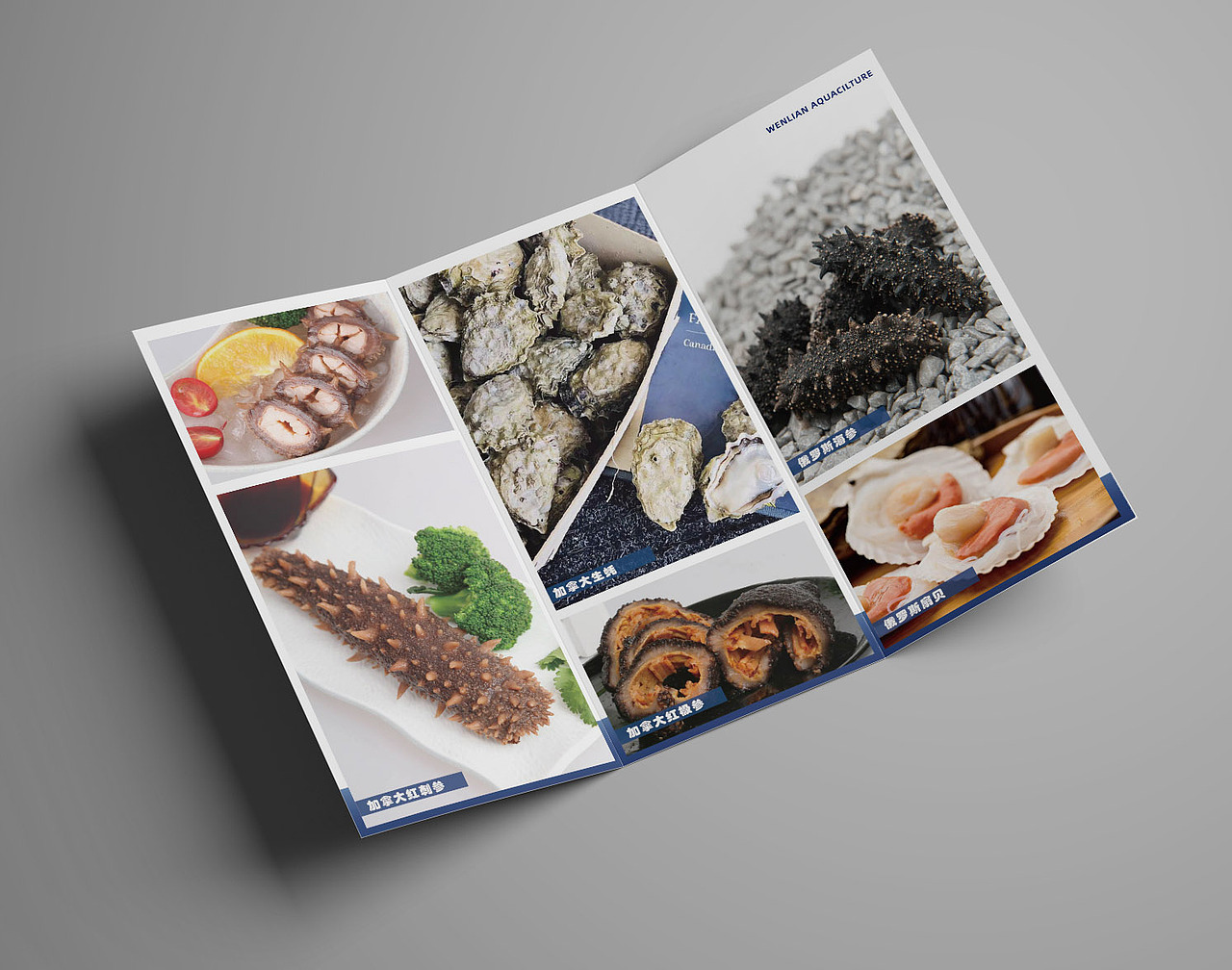 宣传折页设计（图ZMjA1Nzc2MzI4） - 宣传物料 - 站酷设计师小李大人MRLEE原创素材 - 站酷ZCOOL