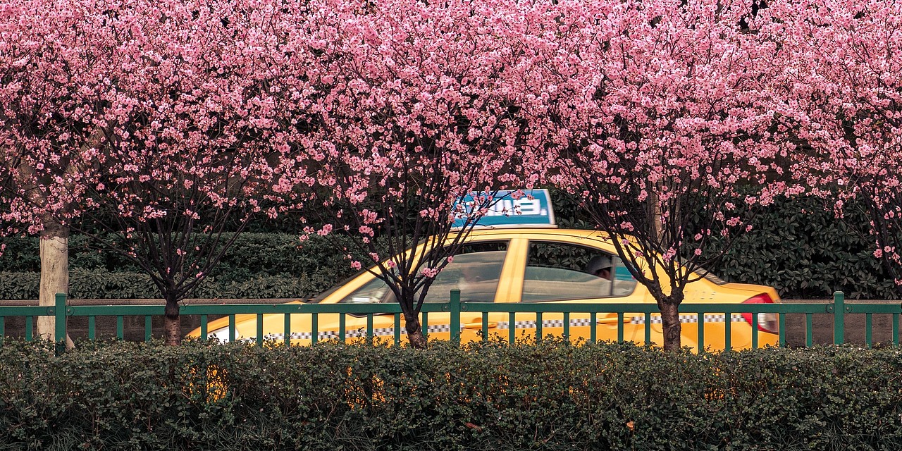 重慶印象（圖ZMTk3NDgxMTA4） - 風(fēng)光攝影 - 站酷設(shè)計師蘇Prise_原創(chuàng)素材 - 站酷ZCOOL