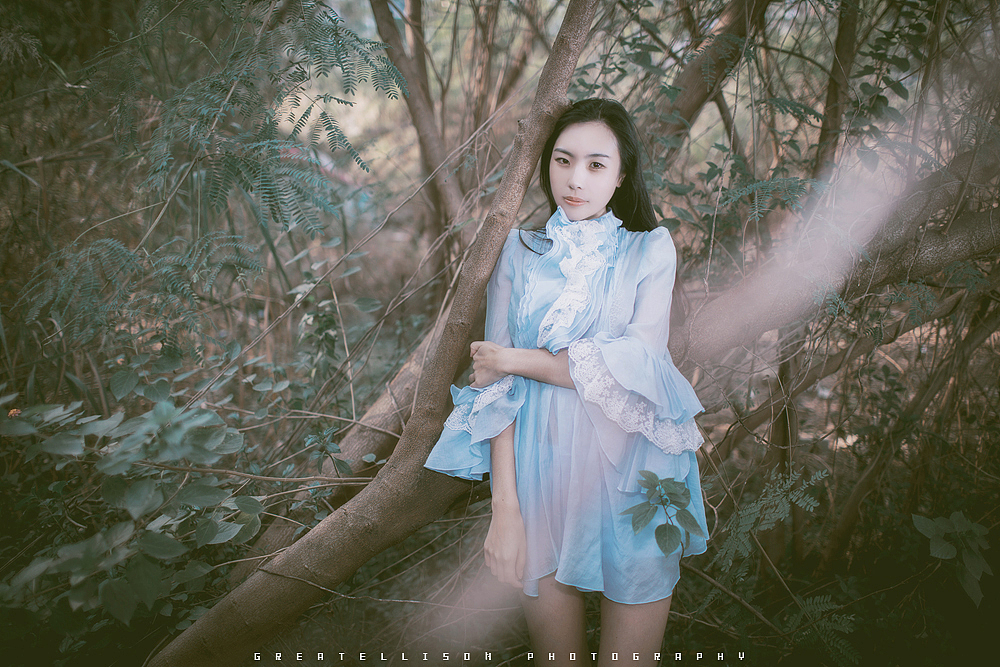 梦里不知身是客