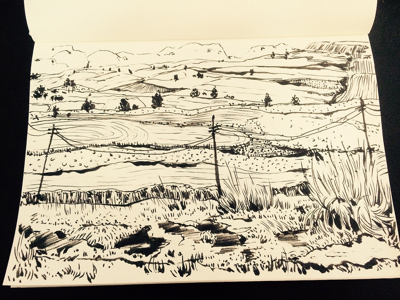 花卉植物动物线条水墨画