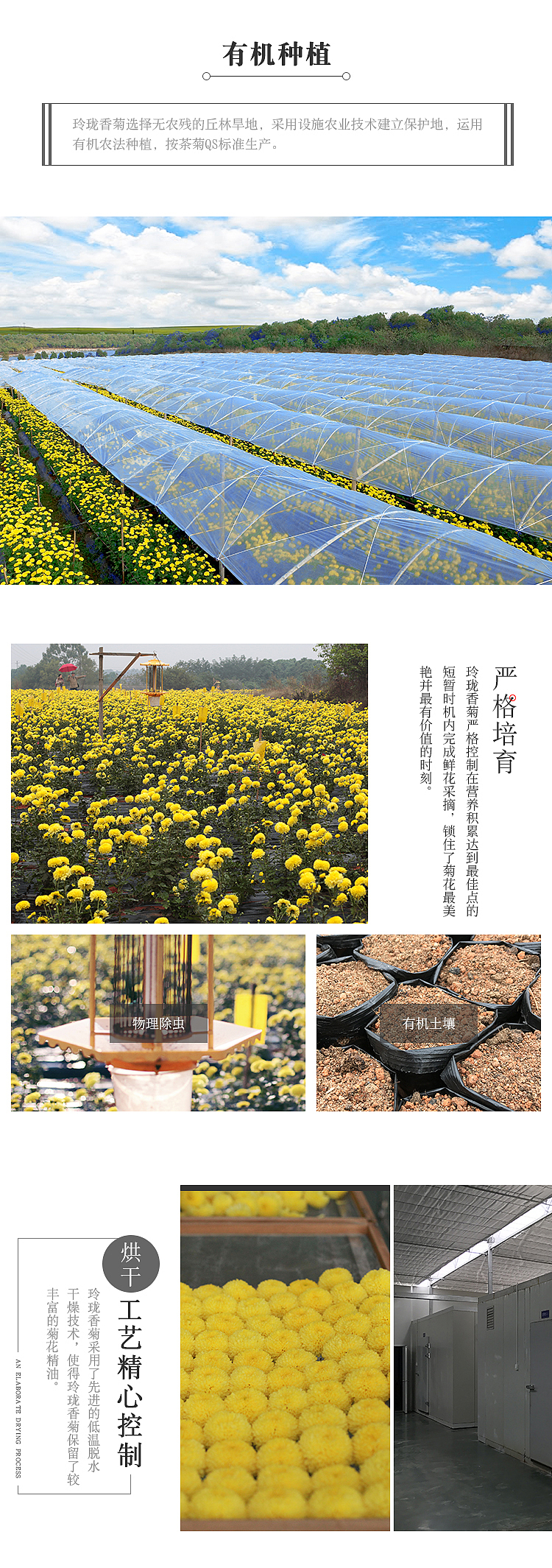 详情页设计 - 玲珑香皇菊（图ZOTgwNTcwNDA=） - 电商 - 站酷设计师香辣冰淇淋原创素材 - 站酷ZCOOL