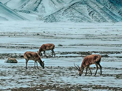 美景（个人主页-ZNTYxNzY4NTY=） - 风光摄影 - 站酷设计师集美印象原创素材 - 站酷ZCOOL