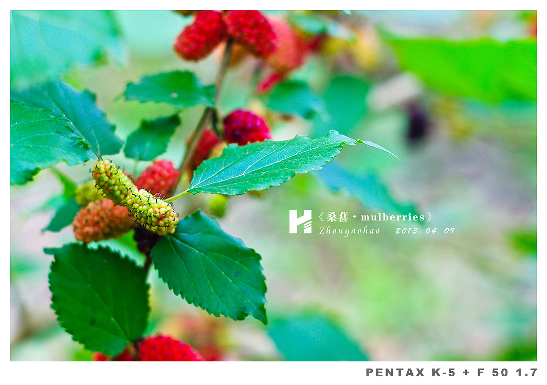 《桑葚.mulberries》（图ZODk2MDQ0OA==） - 产品摄影 - 站酷设计师haodychou原创素材 - 站酷ZCOOL