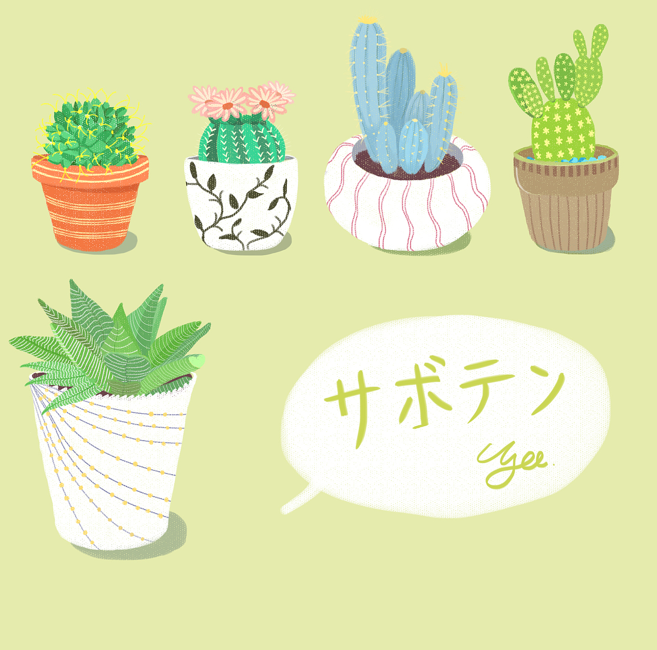 仙人掌植物 サボテン