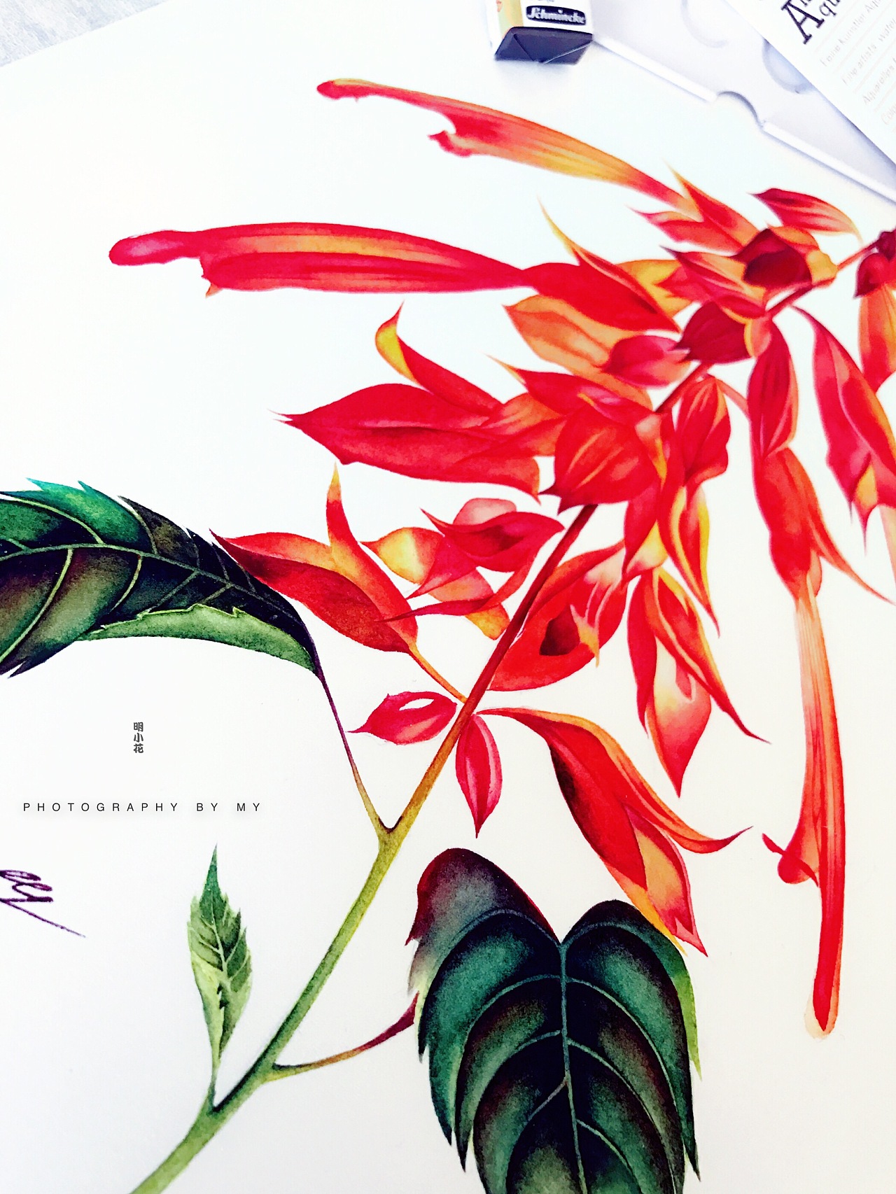 日练新年一串红儿