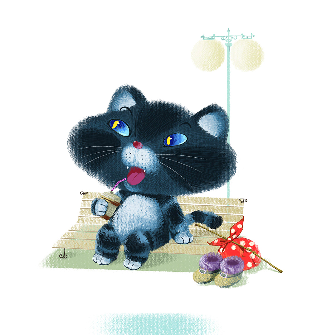 流浪猫
