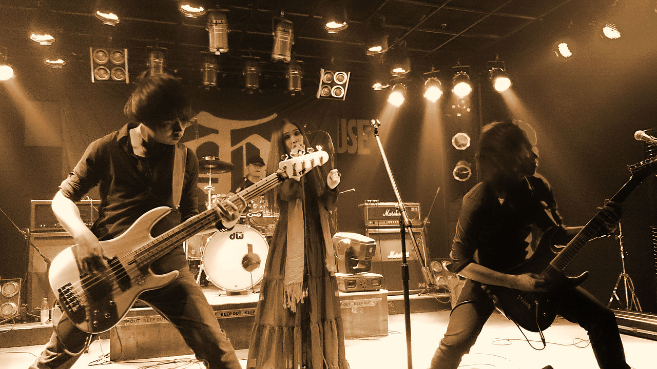 手机里的音乐!女声哥特旋律金属!支持小众!支持国产!