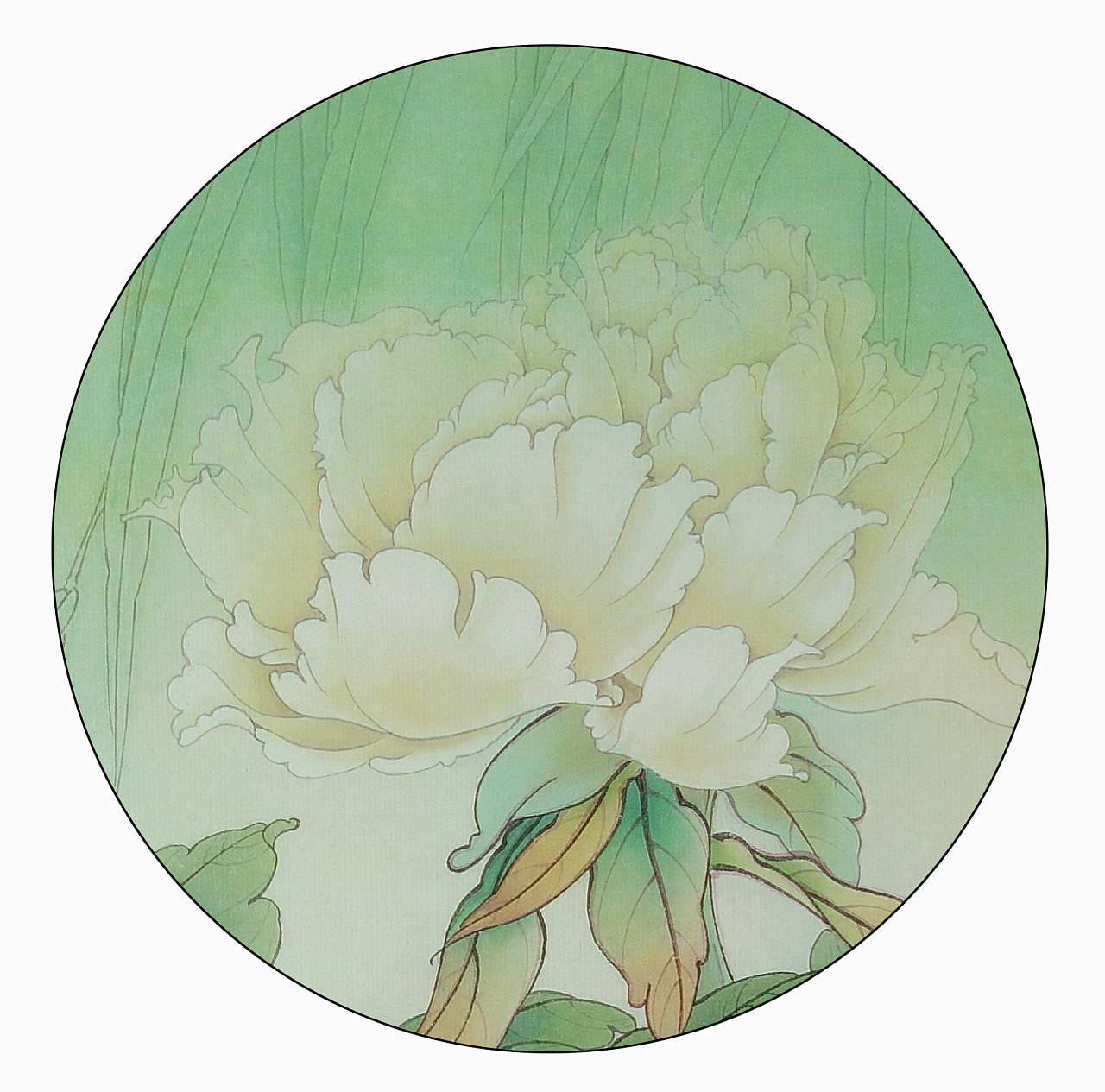 手绘-工笔-白牡丹|插画|艺术插画|伊斯里夫的画笔 - 原创作品 - 站酷 