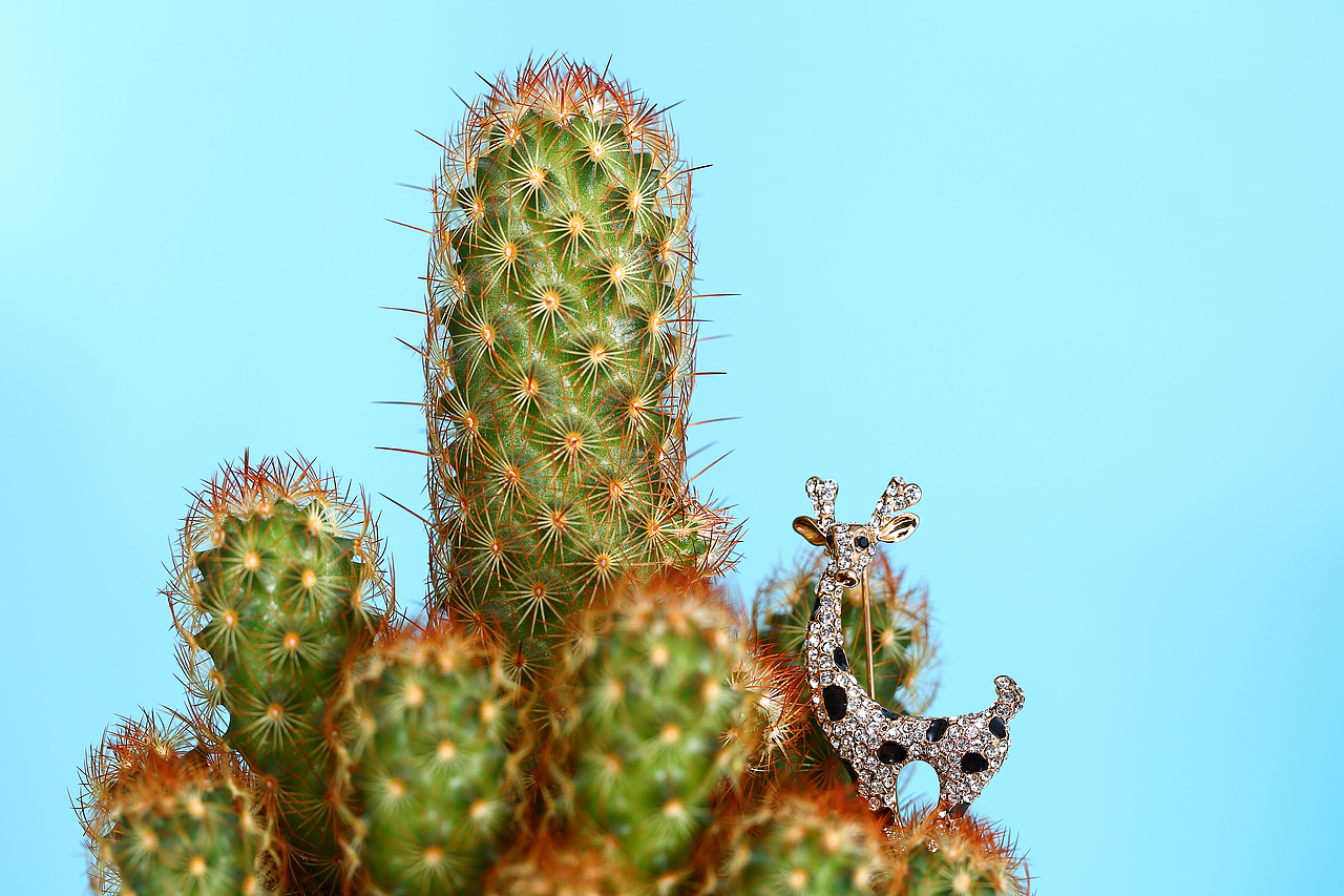 动植物系列（图ZOTI2MTcyNDA=） - 产品摄影 - 站酷设计师my1994原创素材 - 站酷ZCOOL