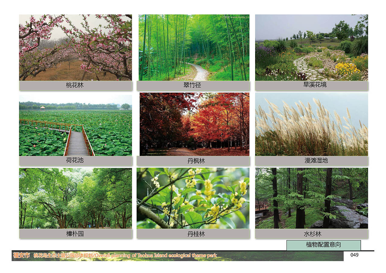 桃花岛生态主题公园总体规划