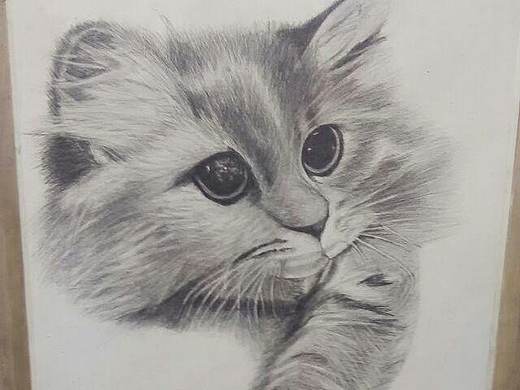 猫咪素描练习