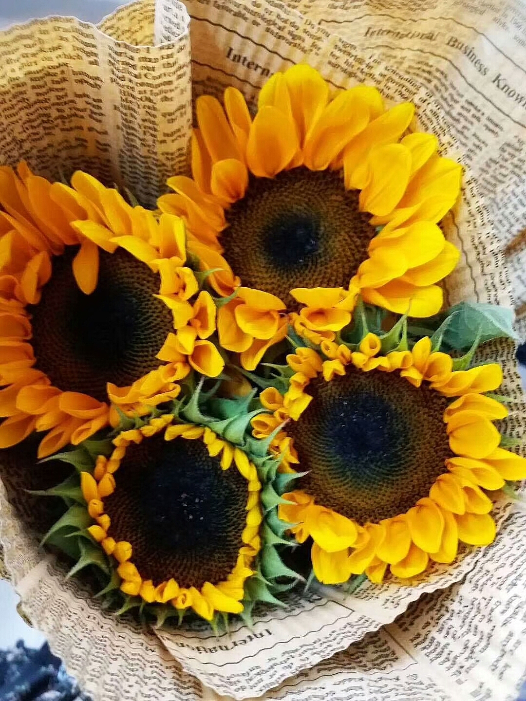 向日葵🌻的微笑