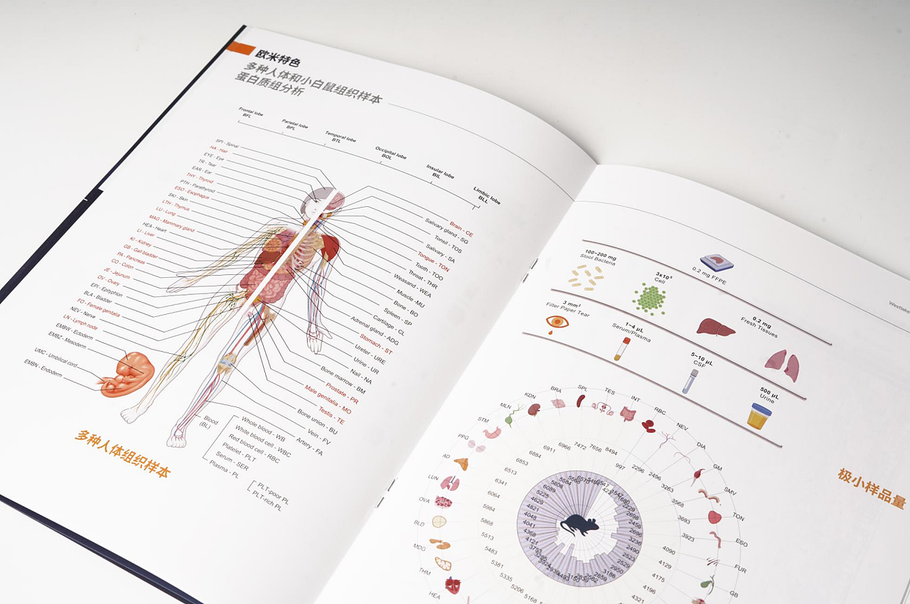 科研类服务手册-西湖欧米画册V1.1版本（图ZMjgxNTQ5Njky） - 书籍/画册 - 站酷设计师孫容原创素材 - 站酷ZCOOL