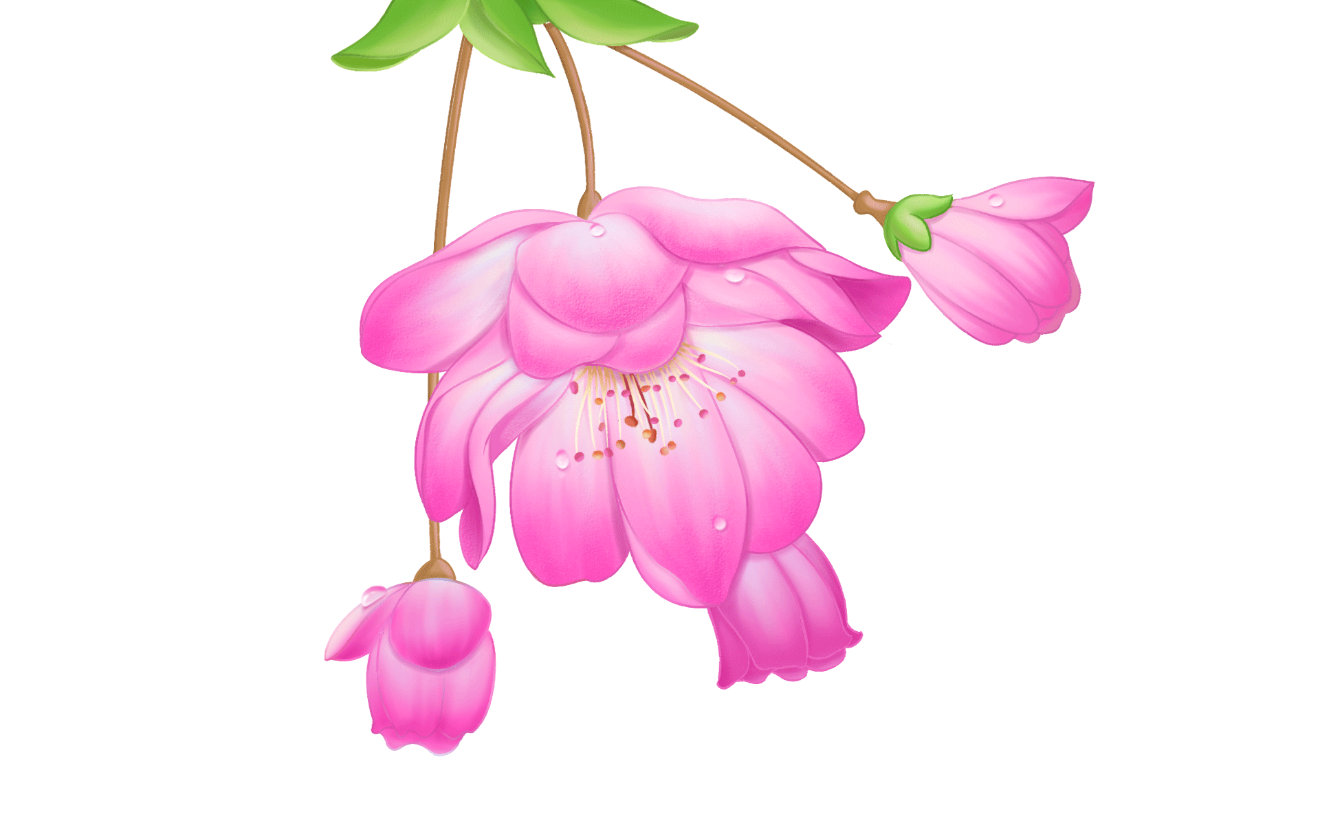 机器人表情动画设计-小精灵系列（图ZMjM4NDgxMTky） - 艺术插画 - 站酷设计师饭安安Fananan原创素材 - 站酷ZCOOL