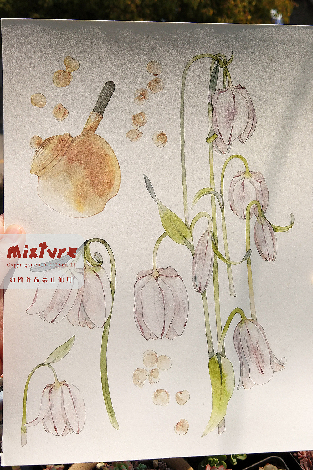 剑三药用花草&中药材炮制工具（图ZMTUyMDkxMzQw） - 商业插画 - 站酷设计师青霄不予原创素材 - 站酷ZCOOL